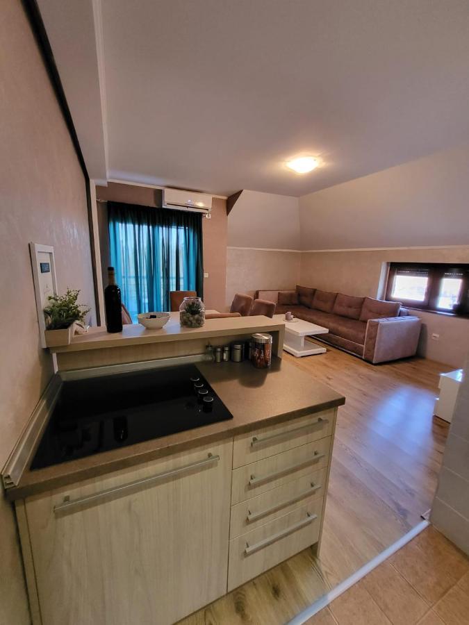 Apartman Crown Vrnjačka Banja エクステリア 写真