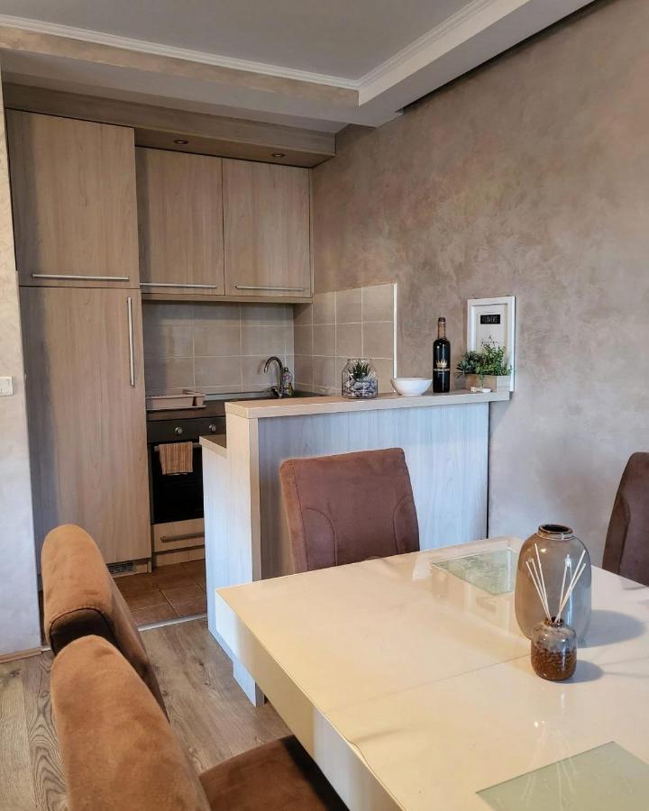 Apartman Crown Vrnjačka Banja エクステリア 写真