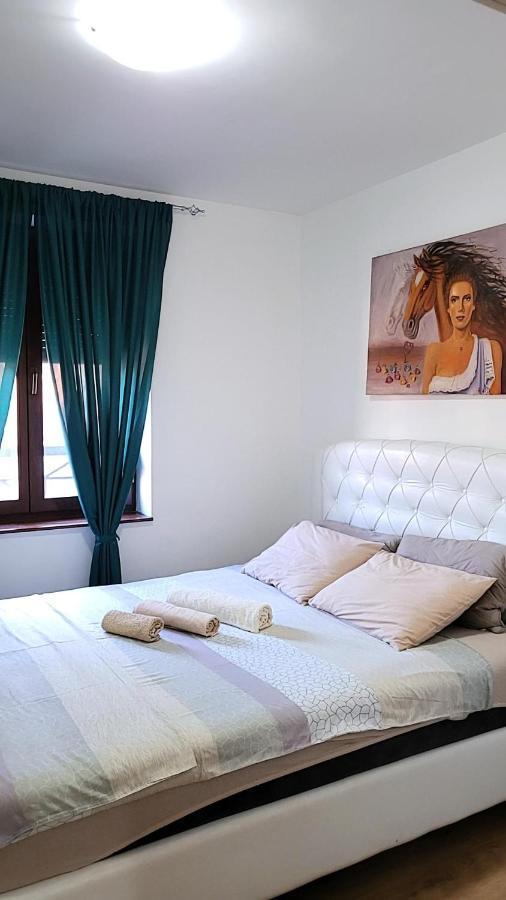 Apartman Crown Vrnjačka Banja エクステリア 写真