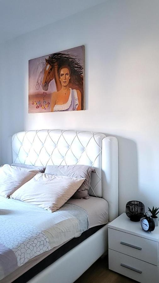 Apartman Crown Vrnjačka Banja エクステリア 写真