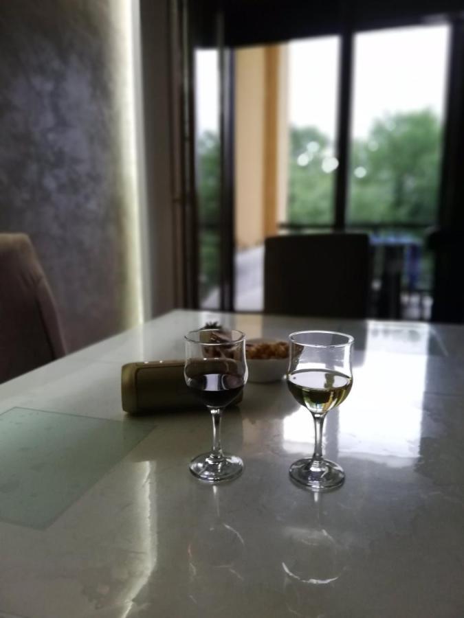 Apartman Crown Vrnjačka Banja エクステリア 写真